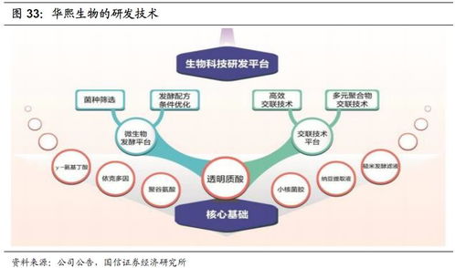 化妝品行業2020年投資展望 產品先行，流量催化，資本助力